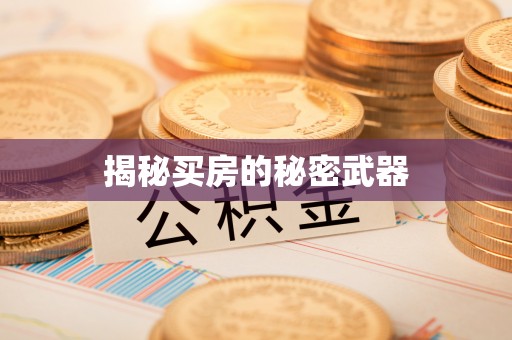 金城揭秘买房的秘密武器