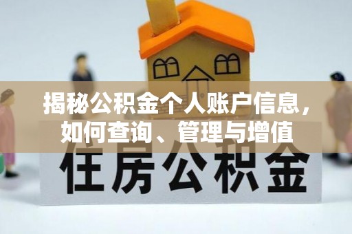 金城揭秘公积金个人账户信息，如何查询、管理与增值