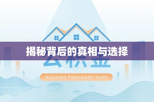 金城揭秘背后的真相与选择