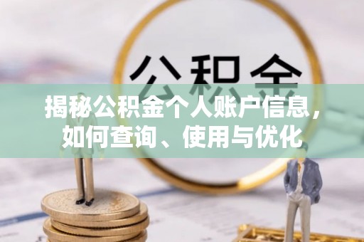 金城揭秘公积金个人账户信息，如何查询、使用与优化
