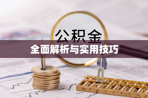 金城全面解析与实用技巧