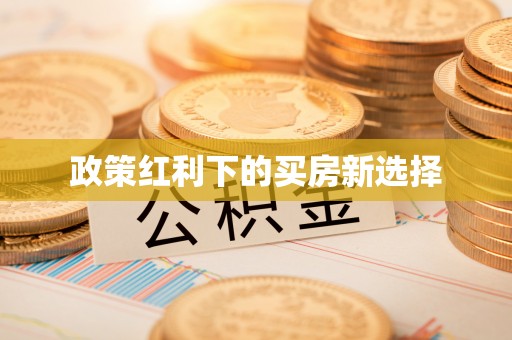 金城政策红利下的买房新选择