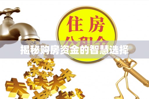 金城揭秘购房资金的智慧选择