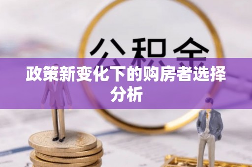 金城政策新变化下的购房者选择分析