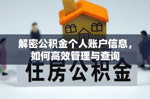 金城解密公积金个人账户信息，如何高效管理与查询