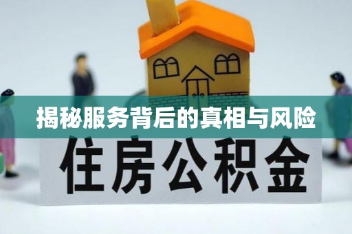 金城揭秘服务背后的真相与风险