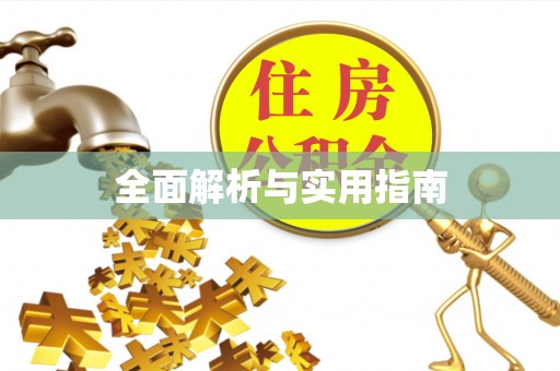 金城全面解析与实用指南