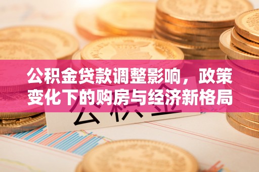 金城公积金贷款调整影响，政策变化下的购房与经济新格局