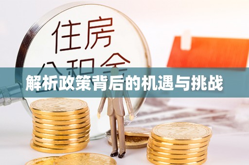 金城解析政策背后的机遇与挑战