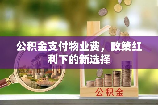金城公积金支付物业费，政策红利下的新选择