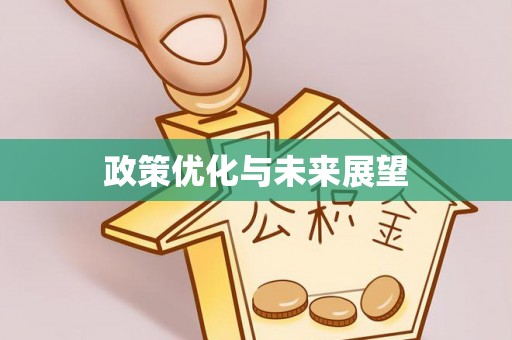 金城政策优化与未来展望