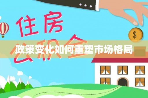 金城政策变化如何重塑市场格局