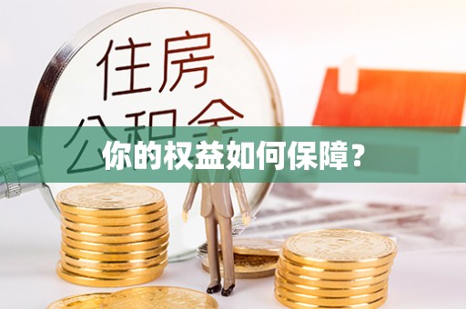 金城你的权益如何保障？