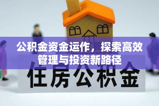 金城公积金资金运作，探索高效管理与投资新路径