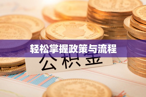 金城轻松掌握政策与流程