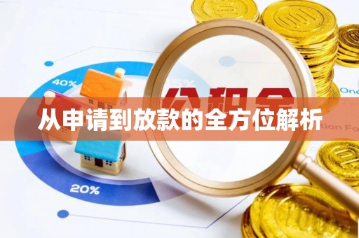 金城从申请到放款的全方位解析