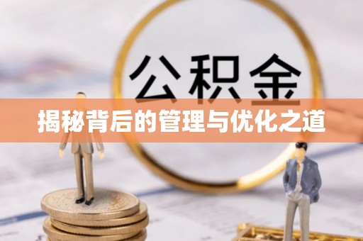 金城揭秘背后的管理与优化之道