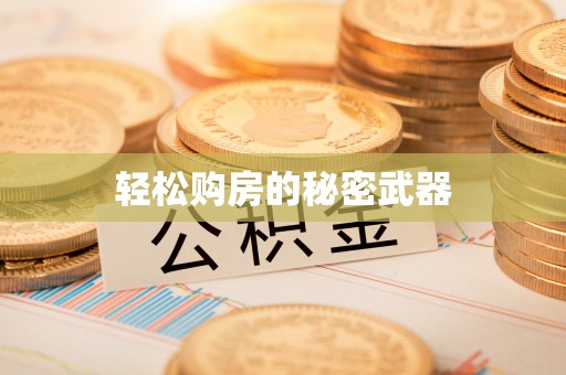 金城轻松购房的秘密武器