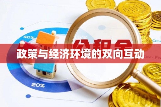 金城政策与经济环境的双向互动