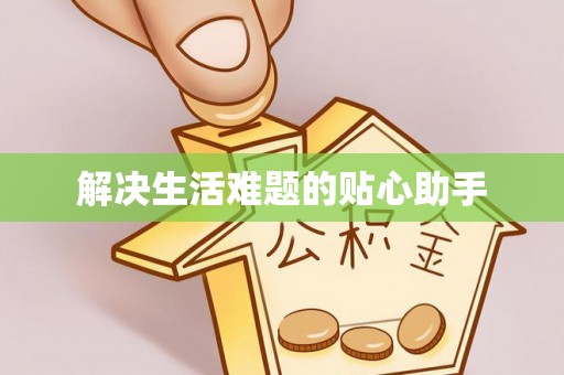金城解决生活难题的贴心助手