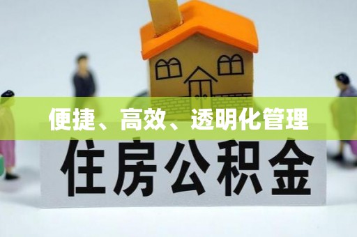 金城便捷、高效、透明化管理