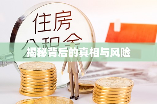 金城揭秘背后的真相与风险