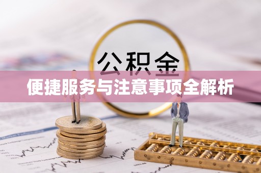 金城便捷服务与注意事项全解析