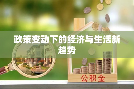 金城政策变动下的经济与生活新趋势