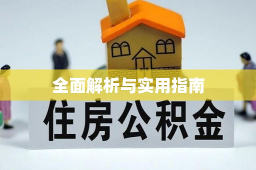 金城全面解析与实用指南