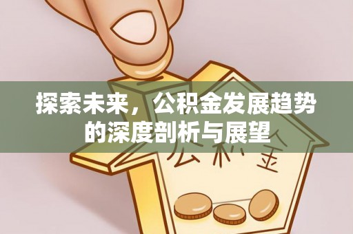 金城探索未来，公积金发展趋势的深度剖析与展望