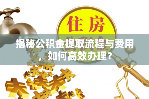 金城揭秘公积金提取流程与费用，如何高效办理？