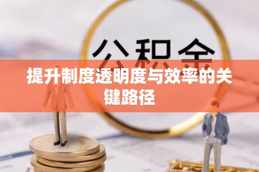 金城提升制度透明度与效率的关键路径