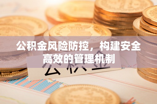 金城公积金风险防控，构建安全高效的管理机制