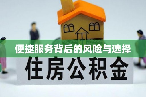 金城便捷服务背后的风险与选择
