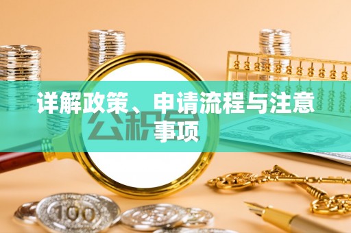金城详解政策、申请流程与注意事项