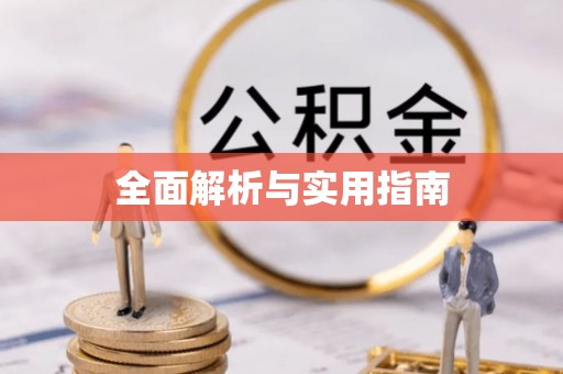 金城全面解析与实用指南
