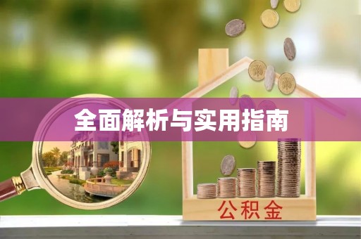 金城全面解析与实用指南
