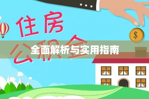 金城全面解析与实用指南