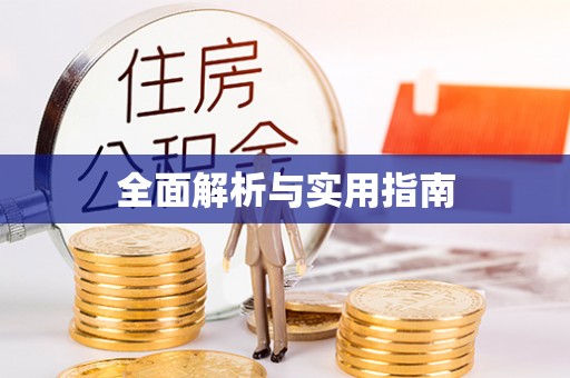 金城全面解析与实用指南