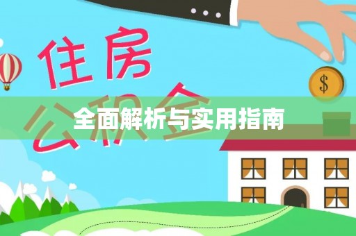 金城全面解析与实用指南